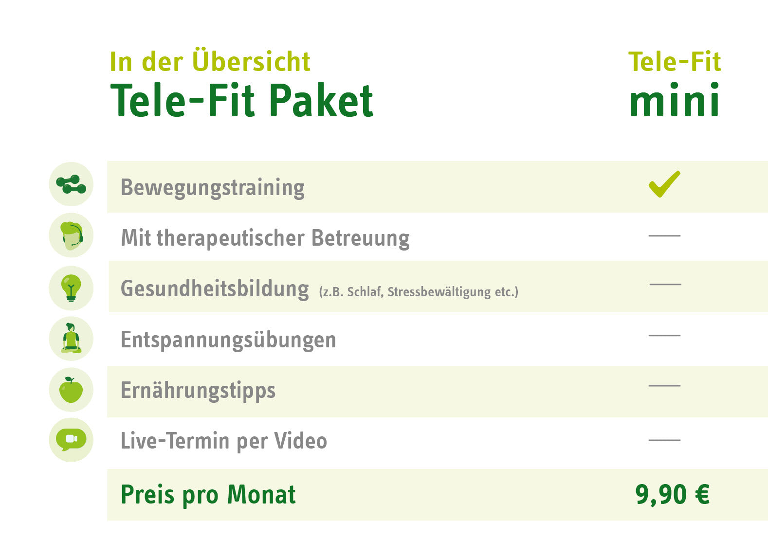 Tele-Fit mini Paket-Übersicht für das Online-Training-Programm des ZAR Ulm, perfekt für das Training zu jeder Zeit, an jedem Ort.